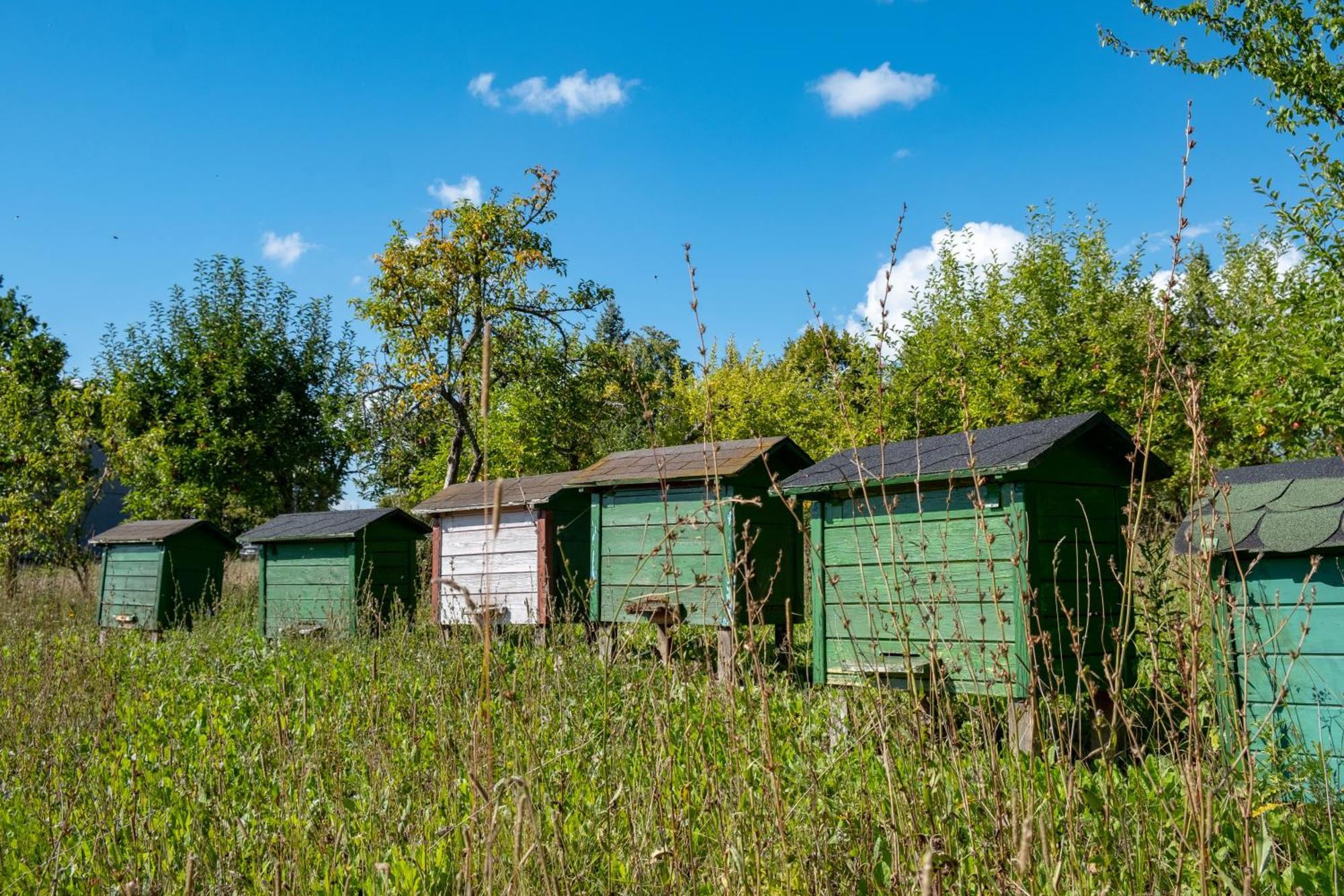 Siedlisko Leszczewek Villa ภายนอก รูปภาพ