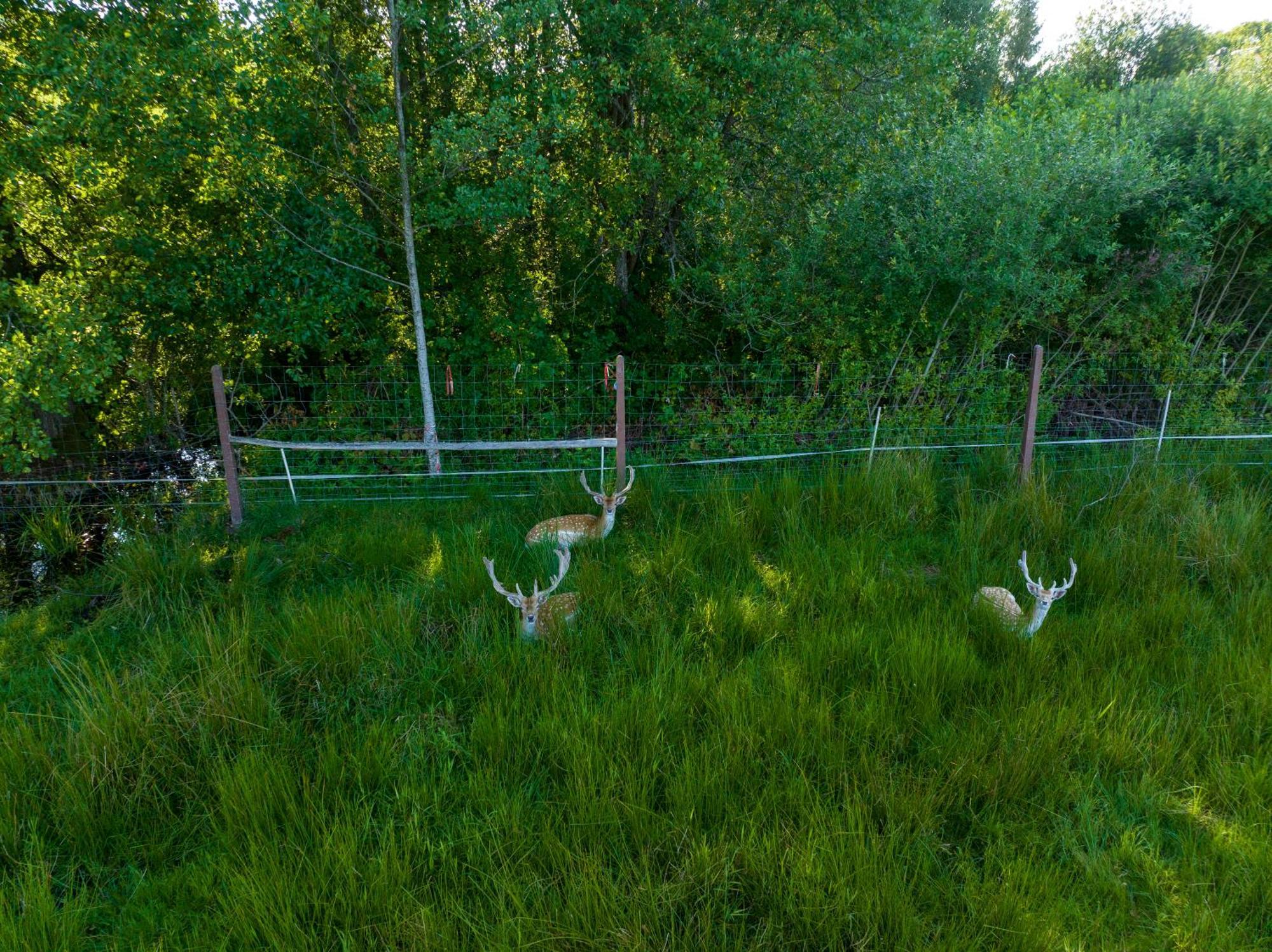 Siedlisko Leszczewek Villa ภายนอก รูปภาพ