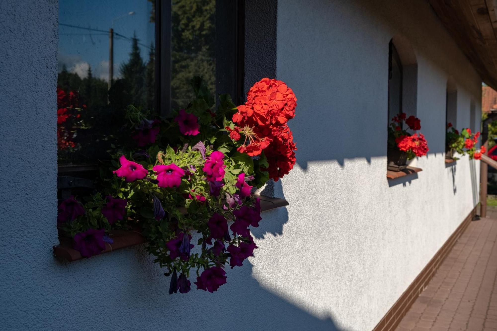Siedlisko Leszczewek Villa ภายนอก รูปภาพ